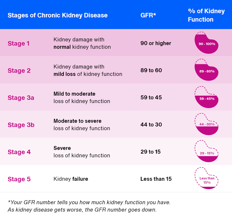 Different Stages Of Kidney Failure